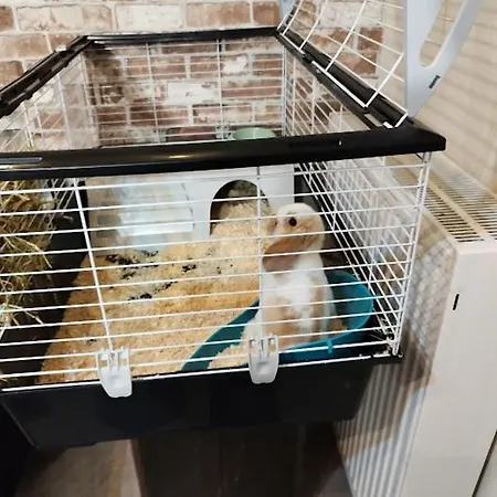 Apartmanhotel Pigasos *